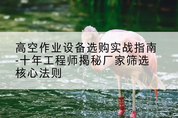向阳剪叉式升降机厂家-高空作业设备选购实战指南-十年工程师揭秘厂家筛选核心法则