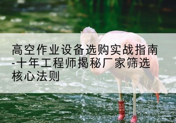 向阳剪叉式升降机厂家-高空作业设备选购实战指南-十年工程师揭秘厂家筛选核心法则